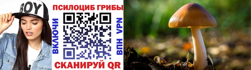 Псилоцибиновые грибы ЛСД  закладка  Шиханы 