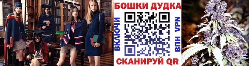 Канабис семена  гидра зеркало  Шиханы  где найти  